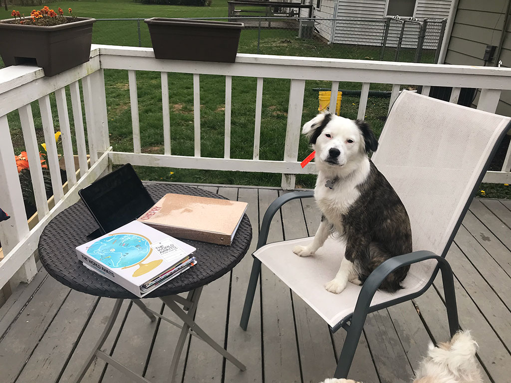 Emily Cherry's back porch workspace, including her dog